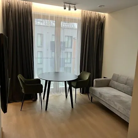 公寓 Cozy Modern Paupys 维尔纽斯